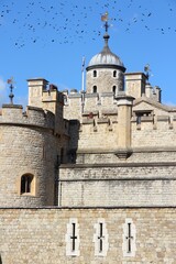 London Tower. Black birds flock over city.