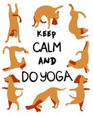 Cute card. keep calm do yoga. Sweet dog. Design for banner, card, placard, brochure