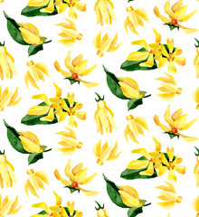 Ylang. Hand painted leaves and yellow ylang flowers. Watercolor seamless pattern on white background. For wrapping, fabric, wallpaper.