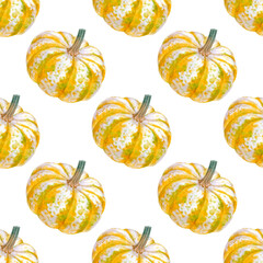 Pumpkin watercolor illustrations isolated on white background. Seamless pattern with colorful Pumpkins.