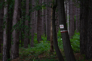 Tree marked with Natural Park sign