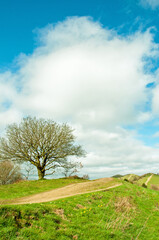 Fototapeta na wymiar Springtime landscape in the Malvern hills
