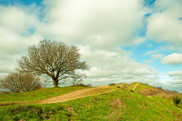 Obraz premium Springtime landscape in the Malvern hills