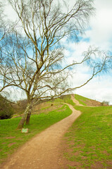 Springtime walks in the Malvern hills