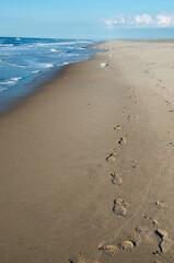 Foot prints on an empty ocean beach.
