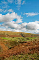 Fototapeta premium Autumn scenery in the Brecon beacons of Wales
