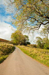 Country road in the Welsh hills in the summertime