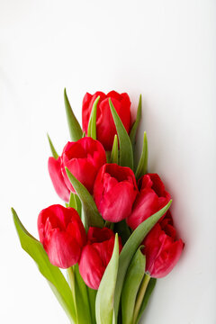 Red tulips bouquet isolated on white background