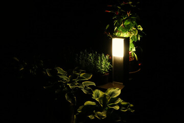 lantern in the garden