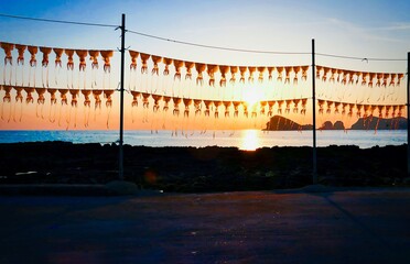 제주도 바닷가에 오징어를 말리고 있는 풍경