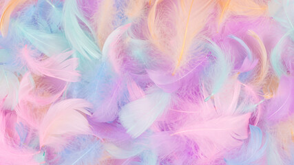 Colorful feather background, isolated on white.