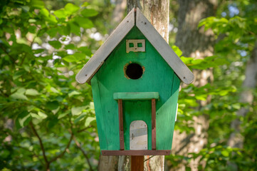 Bird feeder in the autumn forest.