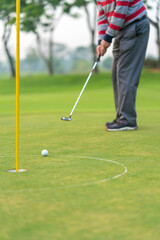 Golfer preparing for a putt Golf ball on the green during golfcourse.