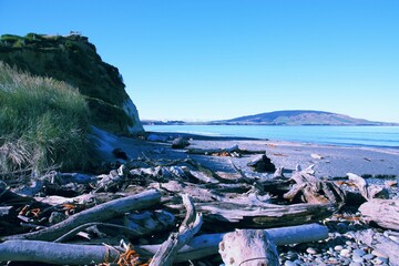 New Zealand driftwood. Vintage filter toned color image.