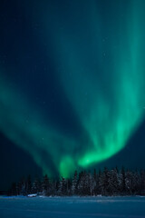 The aurora borealis dances over the trees of Jollifee Island in Yellowknife, Northwest Territories, Canada.