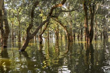 Cambodia Siem Reap Angkor Wat