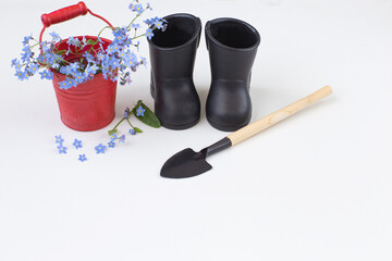 forget me nots in a bucket, boots and a shovel on a white background 