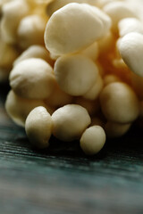 Enoki, Enokitake, Flammulina velutipes, edible mushroom popular in Japanese cuisine
