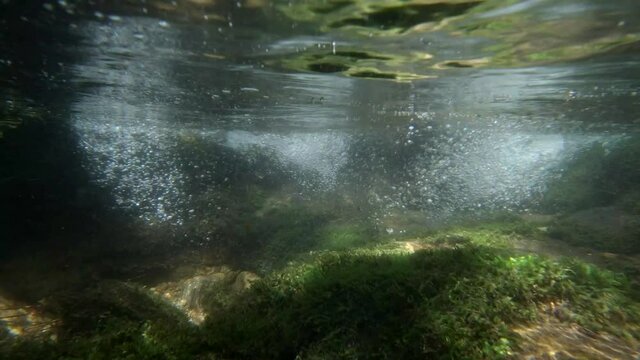 view from under the water of a small river waterfall and underwater plants in clear transparent water slow motion