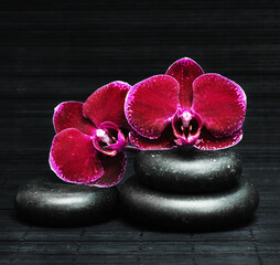 Spa concept. Flower of orchid and stones