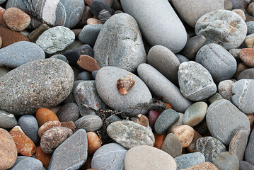 Stones by the sea, shell and pebbles on the beach, sea coast.