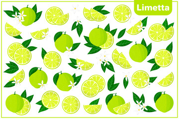 Set of vector cartoon illustrations with Limetta exotic fruits, flowers and leaves isolated on white background