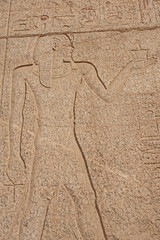 Hieroglyphic carvings on an ancient egyptian temple wall