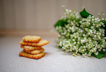 Shortbread cookies against the backdrop of the lizards