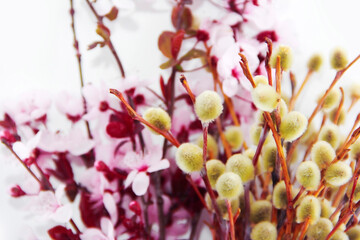 branches with pink cherry flowers and yellow willow branches