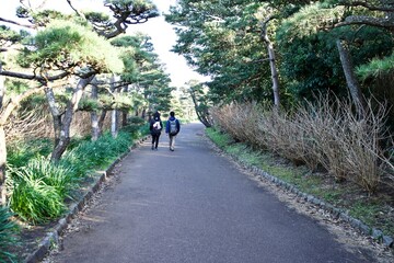Fototapeta premium Walking on a road at Zyogashima park.
