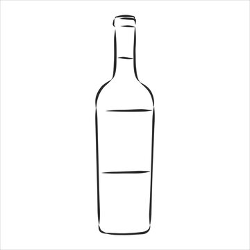 Sketch wine bottle . wine bottle, vector sketch illustration