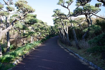 Fototapeta na wymiar A path on the Japanese park.