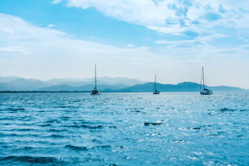 Three white yachts are anchored near the shore