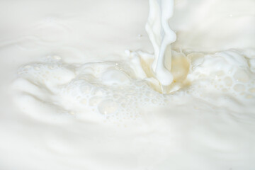 Fototapeta na wymiar Drops of liquid milk pouring down or white drops with ripples