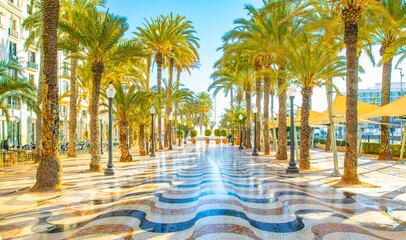 Sunny promenade in Alicante, Spain - obrazy, fototapety, plakaty