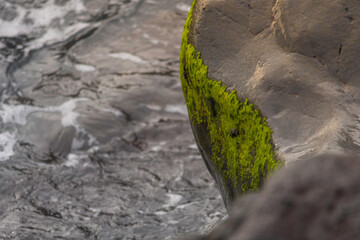 rocks with moss on the seashore