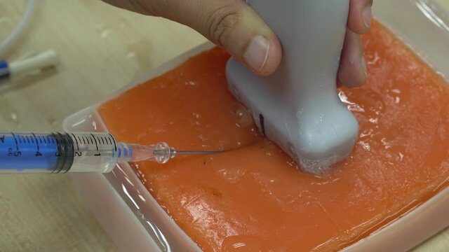 simulation of ultrasound guided central venous catheter insertion