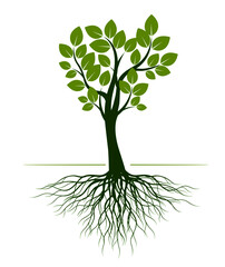 Green Spring Tree. Vector outline Illustration. Plant in garden.