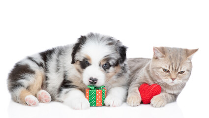Playful Australian shepherd puppy hugs gift box and lies with adult cat who holds red heart. Valentines day concept. Isolated on white background