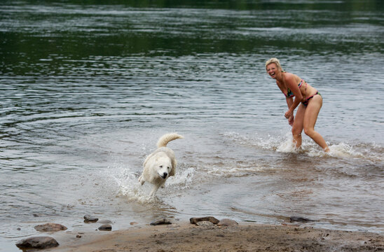 Blonde caucasian white woman in bikini playing with hasky dog in the river and enjoying nice summer day. Pet lover with her hasky dog