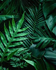 closeup nature view of green leaf background, dark wallpaper concept.