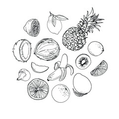 Obraz premium Flying exotic fruits on a white background. A sketch of food. Coconut, Physalis, mangosteen, pineapple, banana, jackfruit
