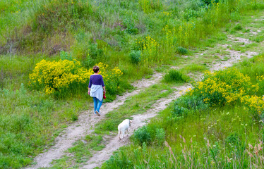 Naklejka na ściany i meble A girl walks with a dog in the countryside. 