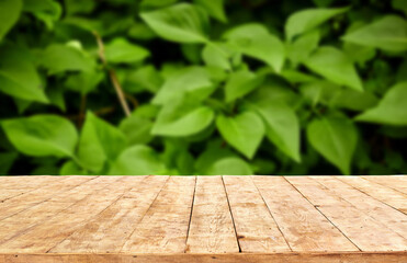 Empty wooden deck table with foliage bokeh background. Ready for product display montage.