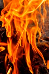 fire on a black background