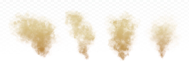 Fototapeta na wymiar cloud of dirty dust vector illustration. set of vector transparent objects.