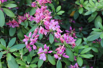 building, city, architecture, sky, urban, skyscraper, buildings, business, cityscape, house, skyline, roof, old, office, brick, construction, london, blue, windows, tall, new, exterior, glass, apartme