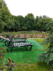 Deck chair on the green meadow