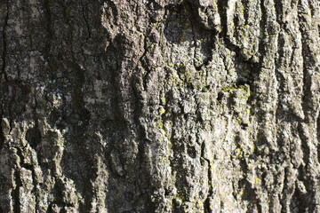 building, city, architecture, sky, urban, skyscraper, buildings, business, cityscape, house, skyline, roof, old, office, brick, construction, london, blue, windows, tall, new, exterior, glass, apartme