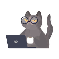Funny cat in glasses sits at a laptop and holds a cup of coffee. Cat sticker with a serious look. Good for stickers, t-shirts and postcards. Isolated. Vector.